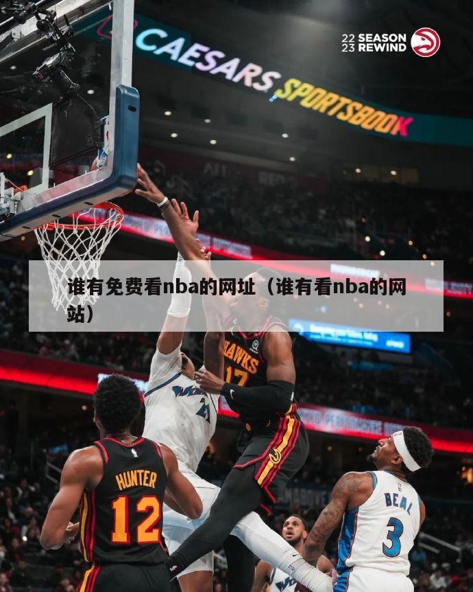 谁有免费看nba的网址（谁有看nba的网站）