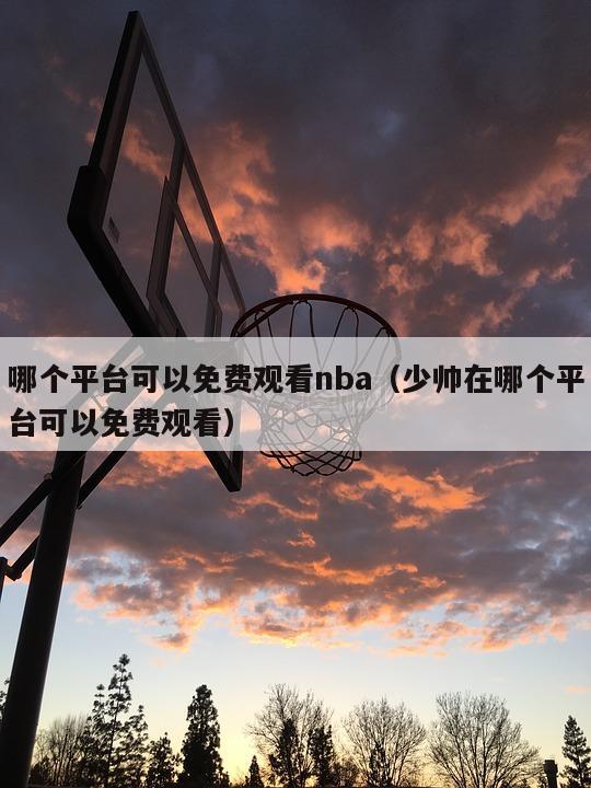 哪个平台可以免费观看nba（少帅在哪个平台可以免费观看）